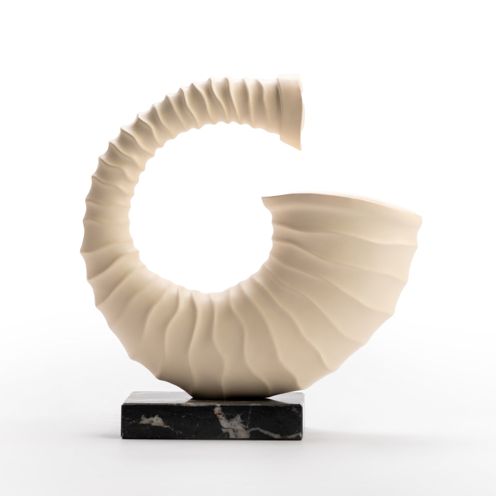 White Shell Sculpture