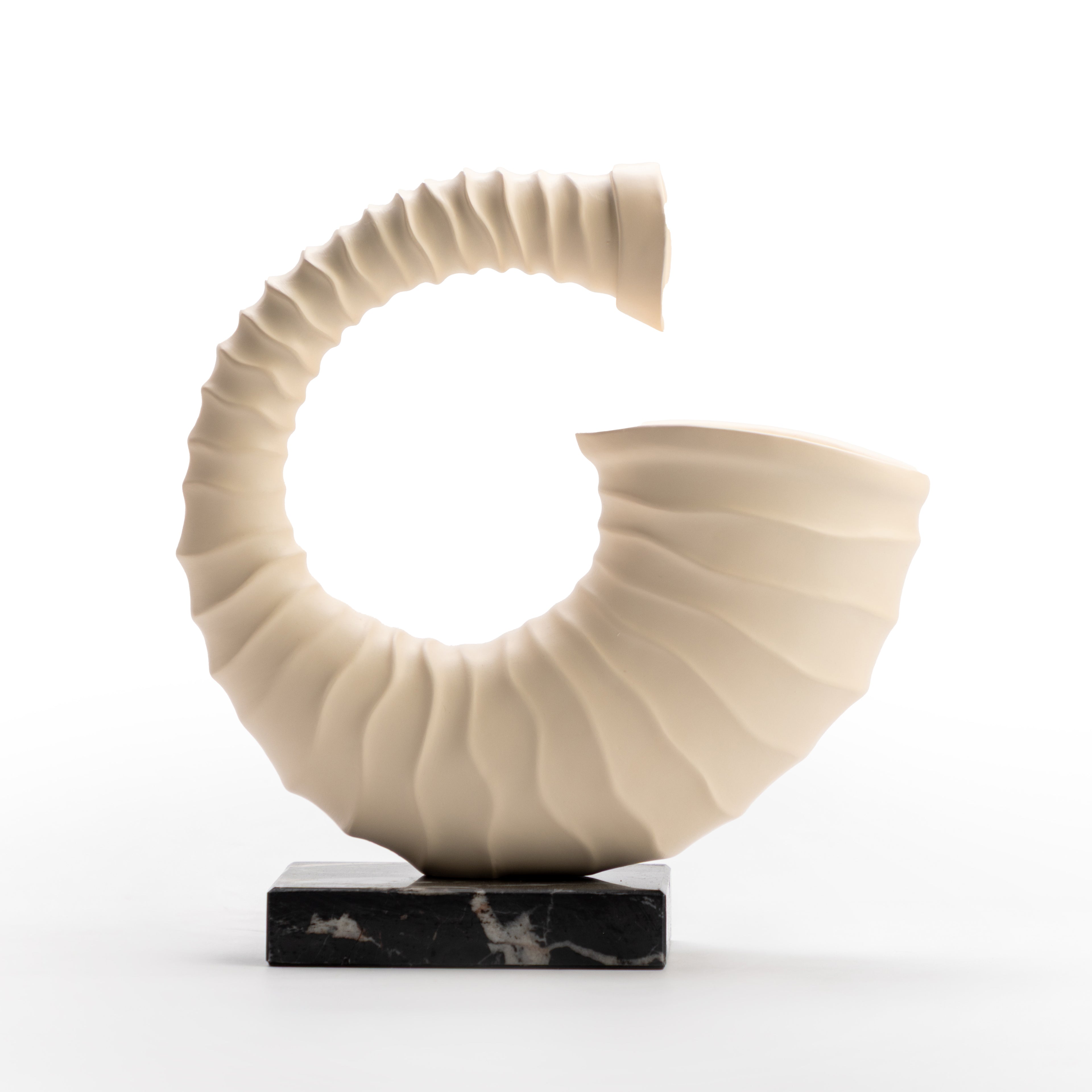 White Shell Sculpture