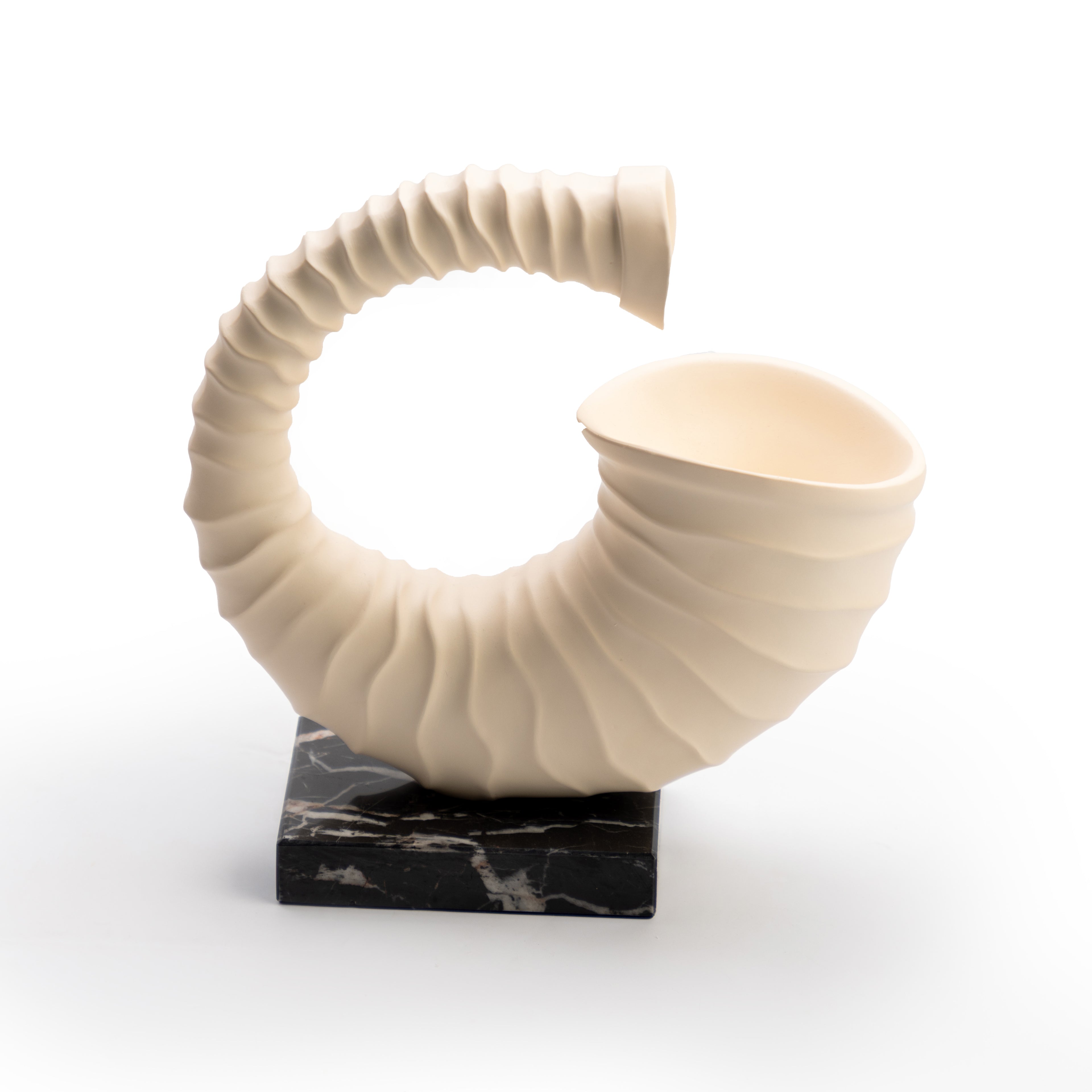 White Shell Sculpture