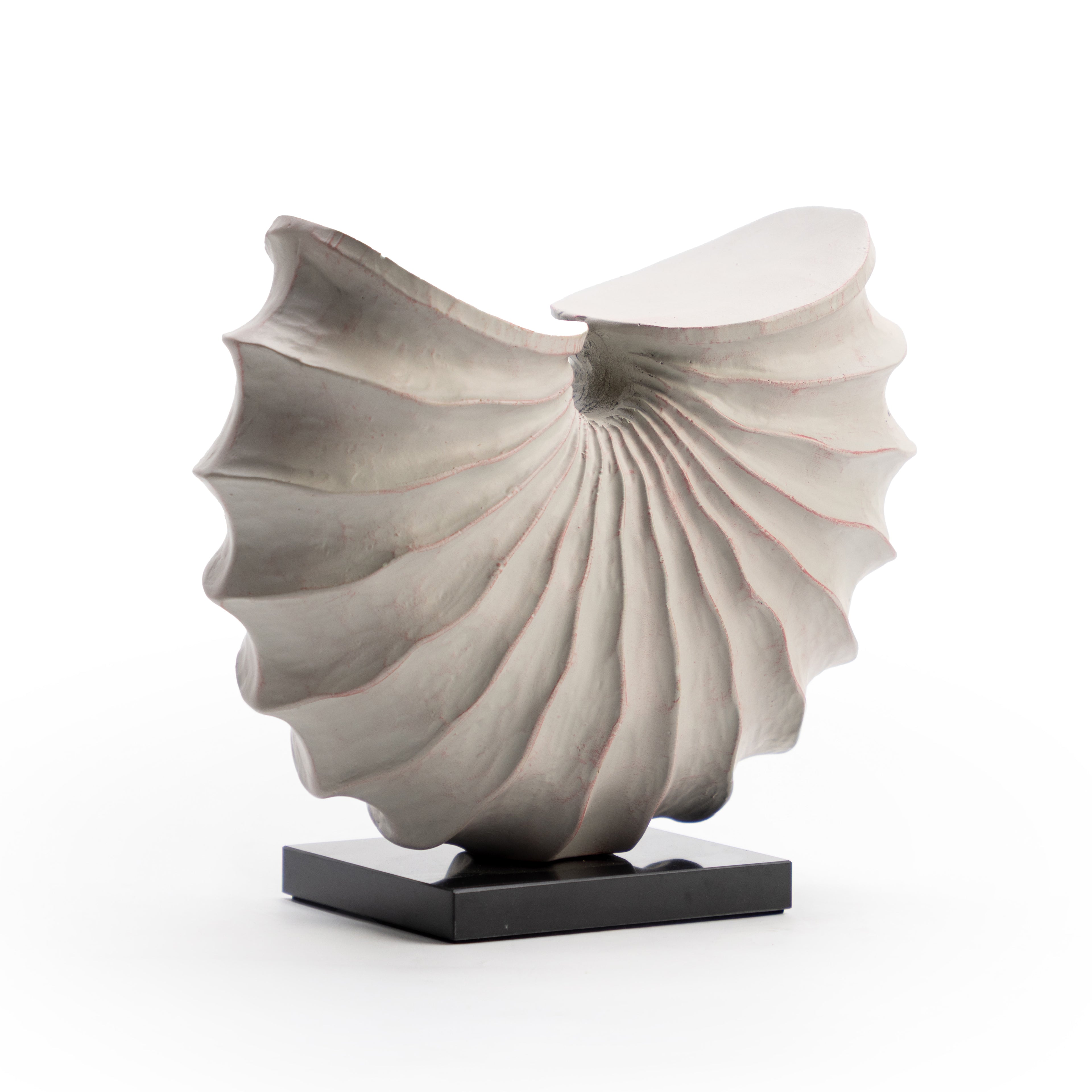 Grey Shell Sculpture
