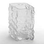 Glassy Vase