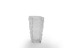 Glassy Vase