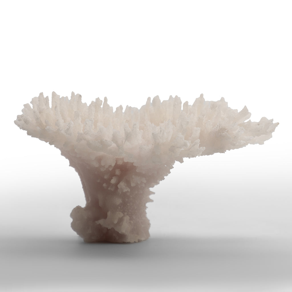 Alabaster Spire Coral Crystal