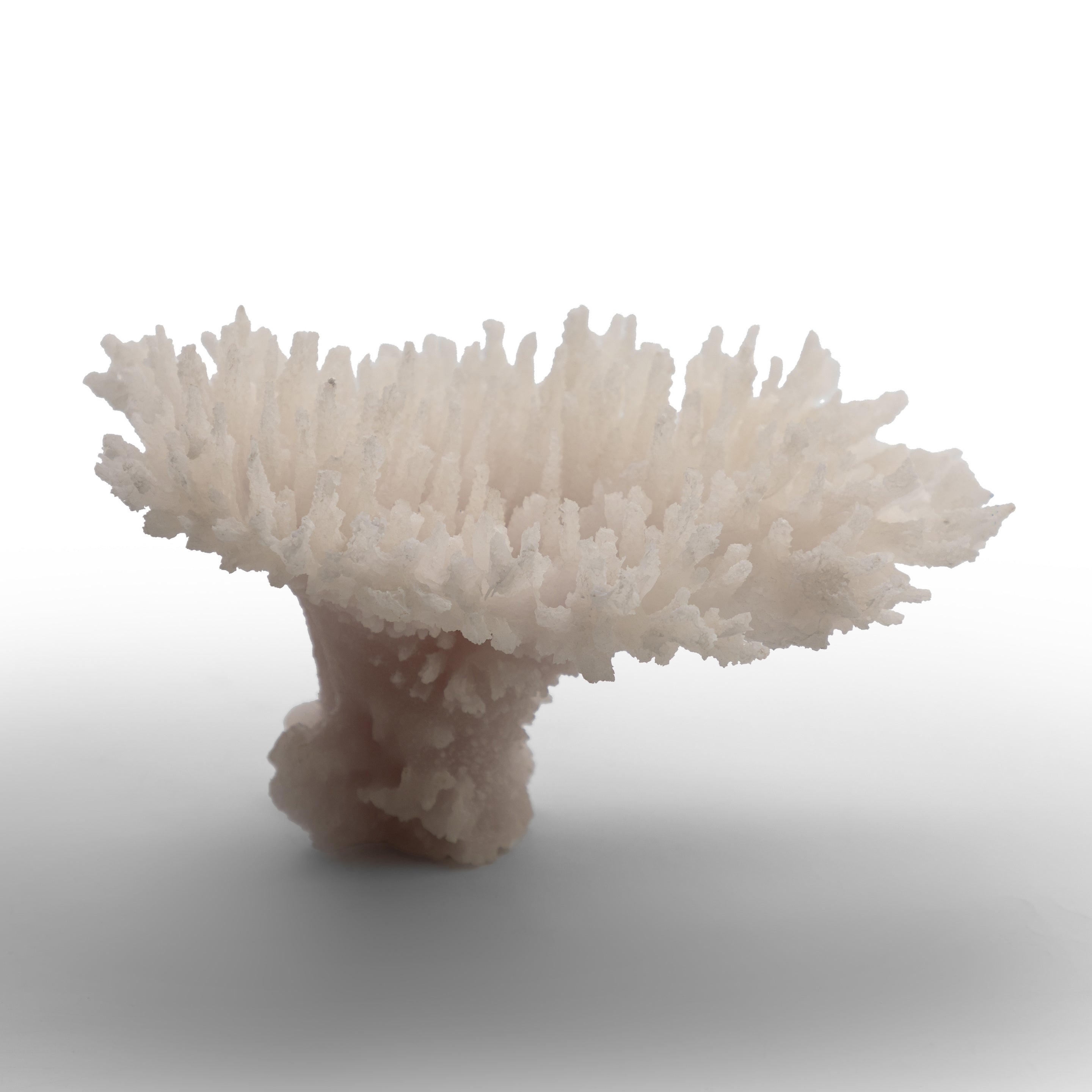 Alabaster Spire Coral Crystal