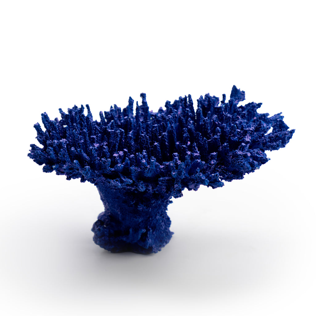 Tree Blue Coral