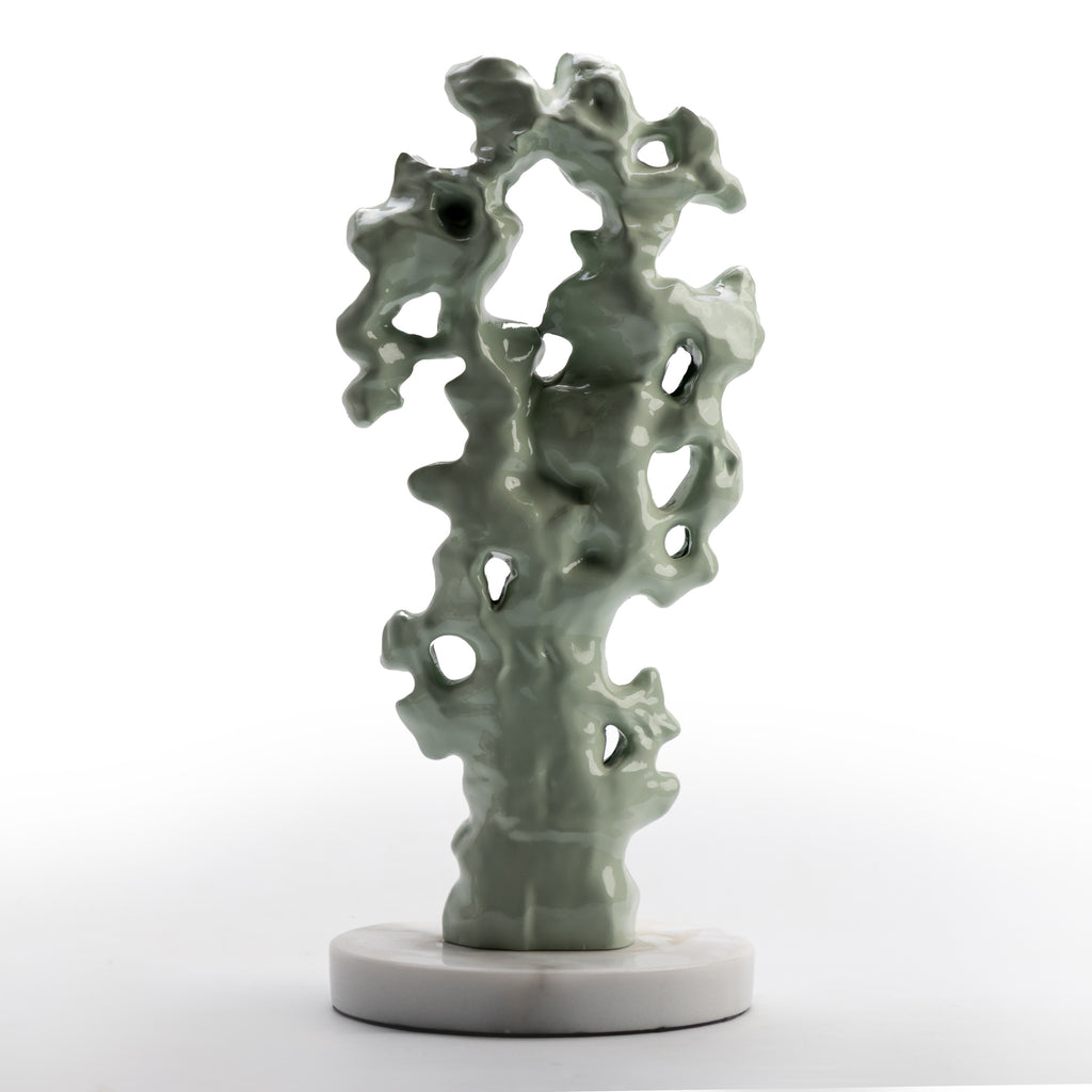 Rocky Coral