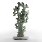 Rocky Coral