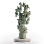 Rocky Coral