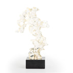 Glassy Coral
