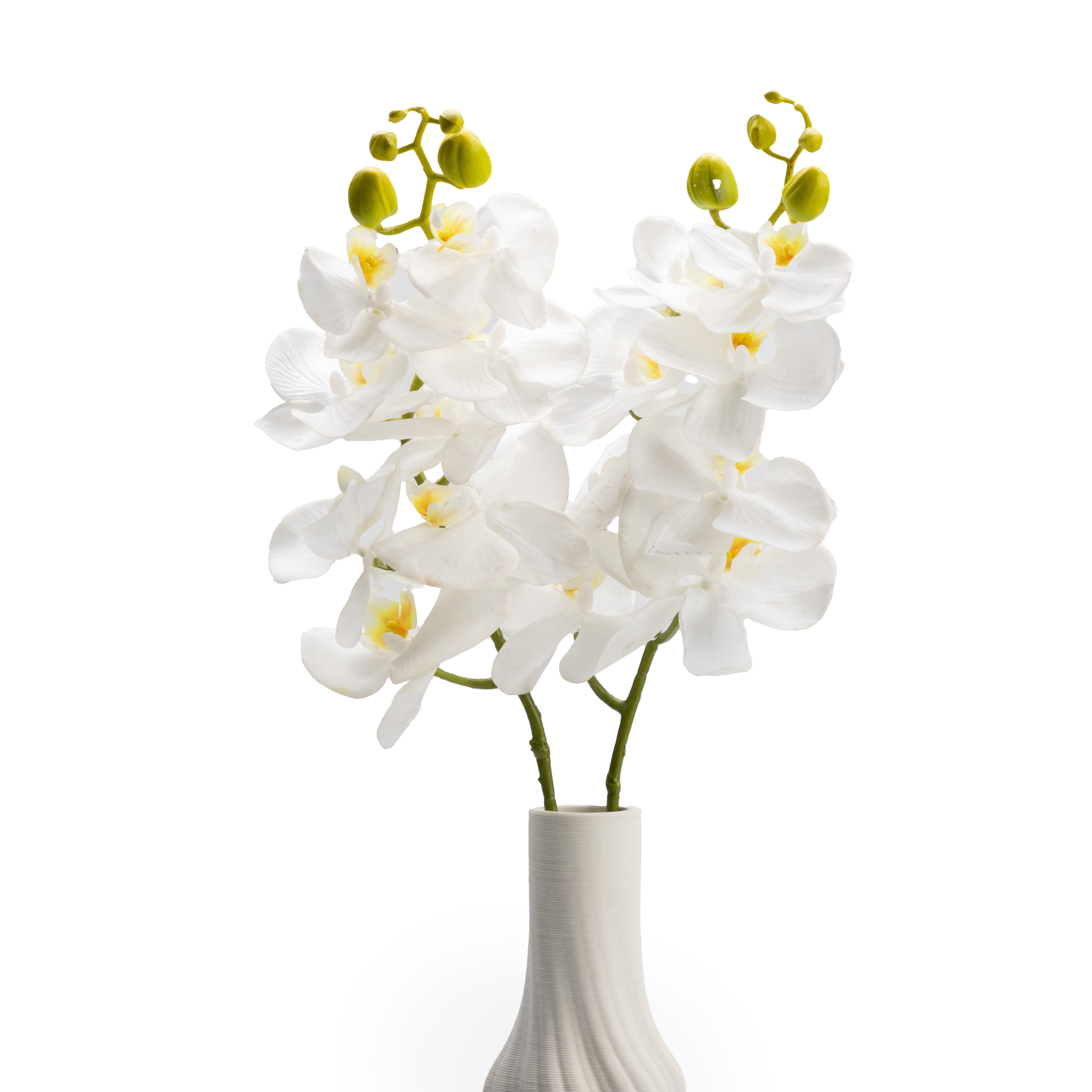 White Orchids